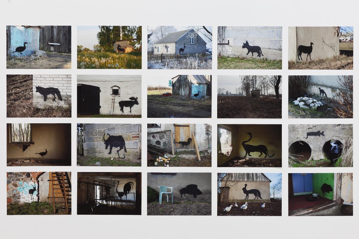 Daniel Rycharski, Photographic Documentation of the Project "Rural Street Art"